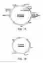 Fig. 02 - Altered Recombinases for Genome Modification