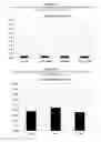Fig. 03 - PHARMACEUTICAL COMPOSITIONS COMPRISING A BISPHOSPHONATE COMPOUND