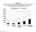 Fig. 08 - PHARMACEUTICAL COMPOSITIONS COMPRISING A BISPHOSPHONATE COMPOUND