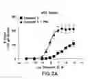 Fig. 04 - Pharmaceutical compositions and their methods of use