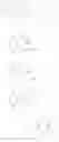 Fig. 16 - Pyrrolobenzodiazepines