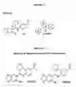 Fig. 06 - Compounds for binding to ERα/β and GPR30, methods of treating disease states and conditions mediated through these receptors and identification thereof