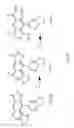 Fig. 06 - Antiviral helioxanthin analogs
