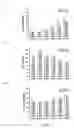 Fig. 03 - Schisandrin B preparation