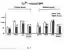Fig. 07 - Schisandrin B preparation