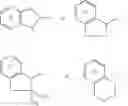Fig. 29 - Receptor function regulating agent