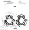 Fig. 02 - Crystal Structure of Human Proliferating Cell Nuclear Antigen (Pcna) and Uses Thereof