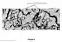 Fig. 06 - Crystal Structure of Human Proliferating Cell Nuclear Antigen (Pcna) and Uses Thereof