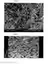 Fig. 02 - Aromatic Polyamide Composition and Article Manufactured Therefrom
