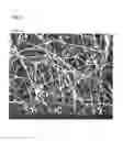 Fig. 03 - Carbon fiber composite resin material and method of producing the same