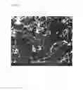 Fig. 07 - Carbon fiber composite resin material and method of producing the same
