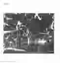 Fig. 08 - Carbon fiber composite resin material and method of producing the same