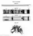 Fig. 43 - Methods of generating variant proteins with increased host string content