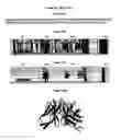 Fig. 44 - Methods of generating variant proteins with increased host string content