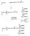 Fig. 01 - Separating agent for optical isomers, method of production thereof, and separation column for optical isomers