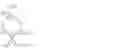 Fig. 26 - Process for the Preparation of Geminal ((Difluorocycloalkyl)Methyl) Amines