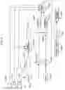 Fig. 06 - SYSTEM AND METHOD OF GENERATING AN IMAGE OF A CONTRAST AGENT INJECTED INTO AN IMAGED SUBJECT