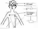 Fig. 01 - Method and Arrangement for Obtaining Diagnostic Information of a Patient