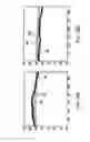 Fig. 32 - SYSTEMS, METHODS, AND DEVICES TO DETERMINE AND PREDICT PHYSILOGICAL STATES OF INDIVIDUALS AND TO ADMINISTER THERAPY, REPORTS, NOTIFICATIONS, AND THE LIKE THEREFOR