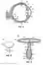 Fig. 02 - Device for delivery of an agent to the eye and other sites