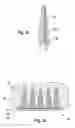 Fig. 04 - Microneedles to be placed in the skin for the transdermal application of pharmaceuticals
