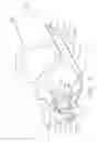 Fig. 03 - Fingertip Surgical Instrument
