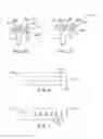 Fig. 07 - AUTOMATIC NEURAL STIMULATION BASED ON ACTIVITY