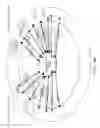 Fig. 77 - DECISION OBJECT FOR ASSOCIATING A PLURALITY OF BUSINESS PLANS