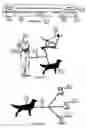 Fig. 10 - Internet Based Animal Tracking Information System