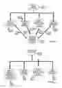 Fig. 17 - Internet Based Animal Tracking Information System