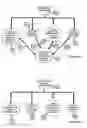 Fig. 18 - Internet Based Animal Tracking Information System