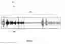 Fig. 07 - Method for purchasing and editing ringtones