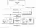 Fig. 01 - Media processing technologies