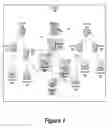 Fig. 02 - Selection accelerator in topology views