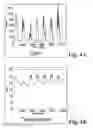 Fig. 05 - Systems and methods for simultaneous summarization of data cube streams