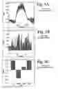 Fig. 07 - Systems and methods for simultaneous summarization of data cube streams