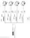 Fig. 02 - Method of reducing upstream ingress noise in cable data system