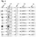 Fig. 06 - RANDOMIZED IMAGES COLLECTION METHOD ENABLING A USER MEANS FOR ENTERING DATA FROM AN INSECURE CLIENT-COMPUTING DEVICE TO A SERVER-COMPUTING DEVICE