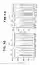 Fig. 07 - Transgenic animal
