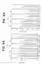 Fig. 08 - Transgenic animal