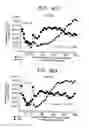 Fig. 28 - Transgenic animal