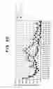 Fig. 32 - Transgenic animal