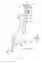 Fig. 04 - Suspension damper removal tool