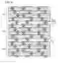 Fig. 07 - Method of manufacturing a multilayer wiring board