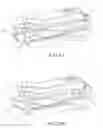 Fig. 03 - Double ended clipper