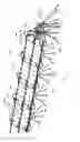 Fig. 02 - RIGGING SYSTEM FOR SUPPORTING AND POINTING SOLAR CONCENTRATOR ARRAYS