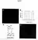 Fig. 03 - Biomimetic modular adhesive complex: materials, methods and applications therefore