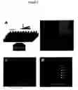 Fig. 04 - Biomimetic modular adhesive complex: materials, methods and applications therefore