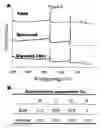 Fig. 07 - Biomimetic modular adhesive complex: materials, methods and applications therefore