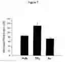Fig. 08 - Biomimetic modular adhesive complex: materials, methods and applications therefore